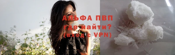 шишки Абинск